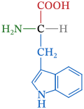 Tryptose Structure How to Memorize Amino Acid Structures: Every Trick You Need | Tutorium